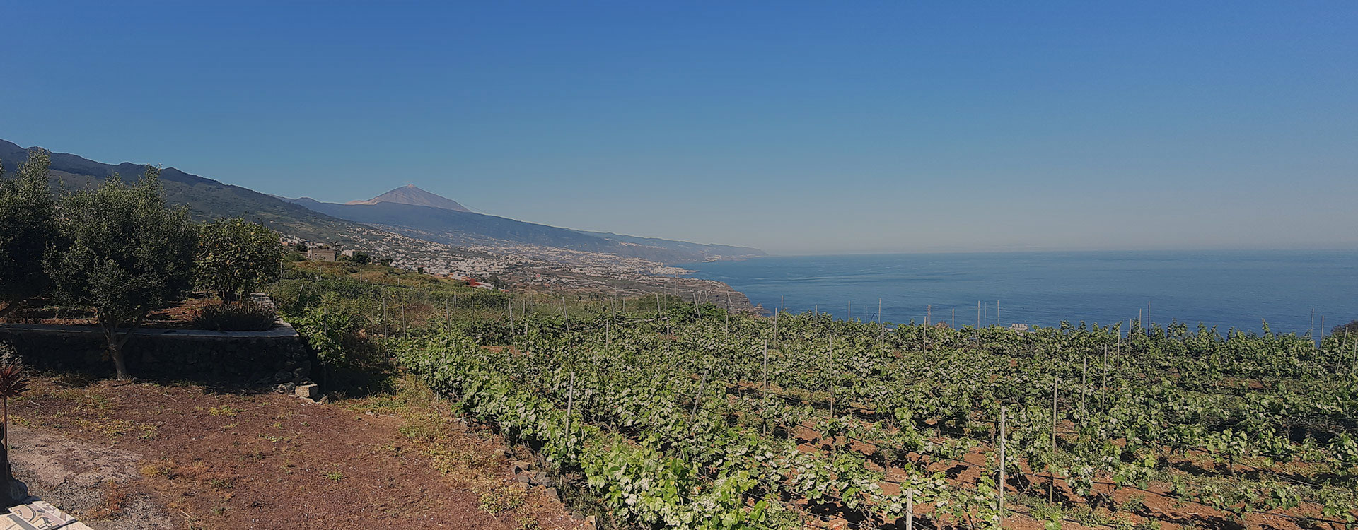  La Matanza de Acentejo