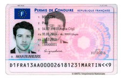 permis de conduire