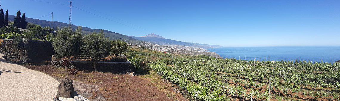 Vivre à Tenerife aux Îles Canaries