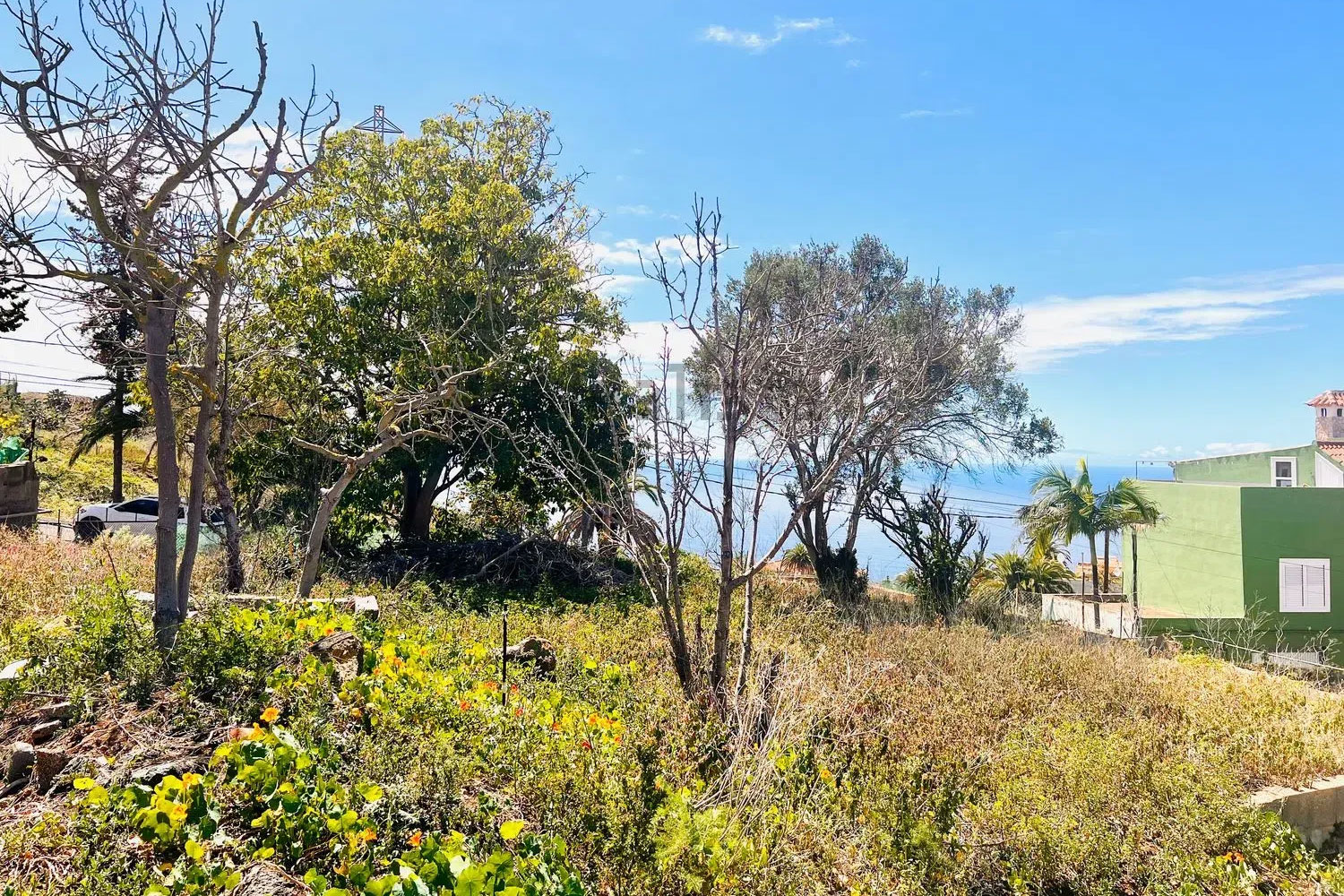Terrain – 67 calle Sierva de Dios