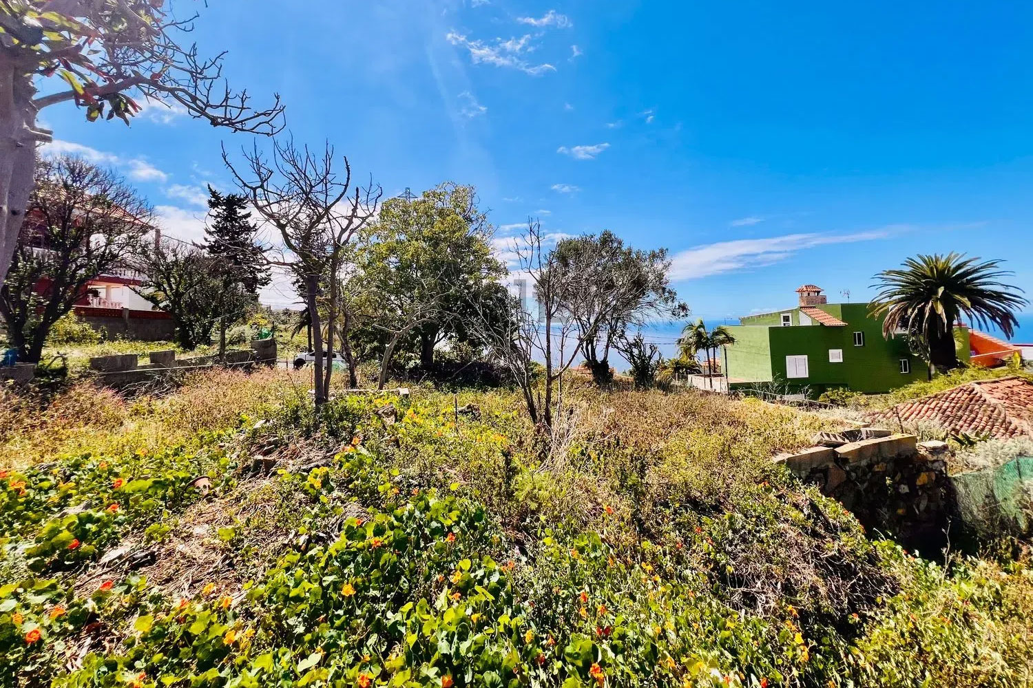 Terrain – 67 calle Sierva de Dios