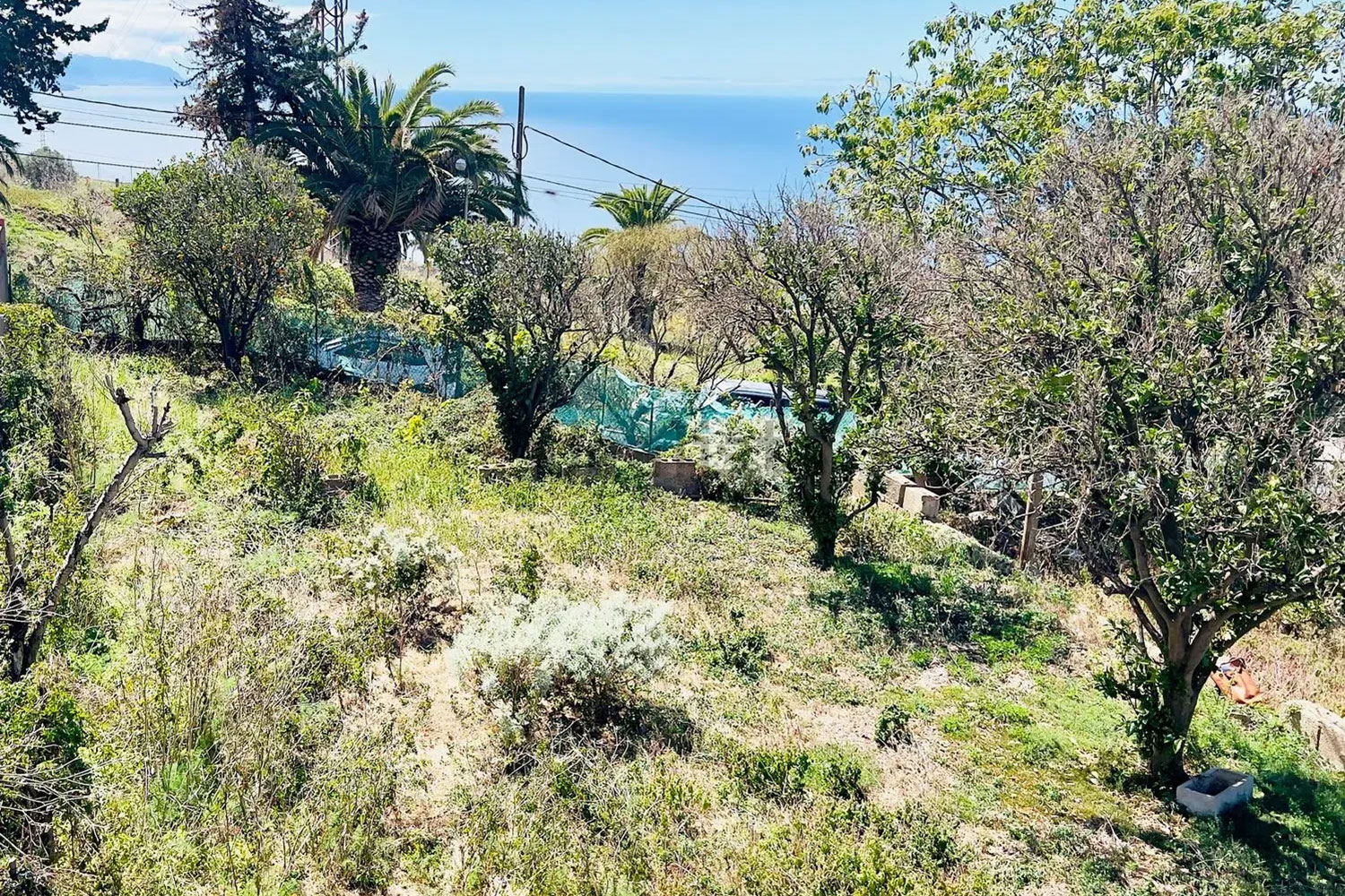 Terrain – 67 calle Sierva de Dios