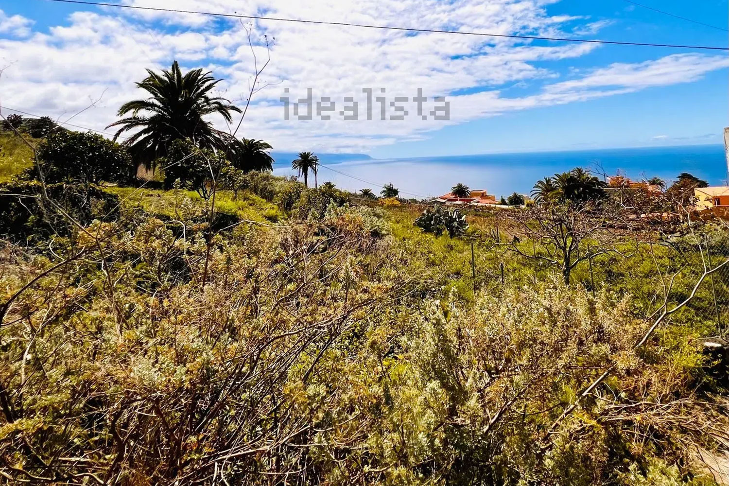 Terrain – 67 calle Sierva de Dios