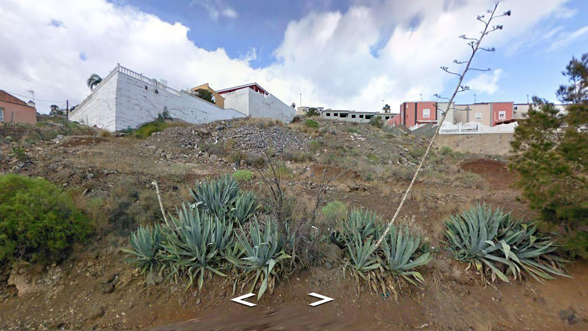 Terrain – Tabaiba Alta